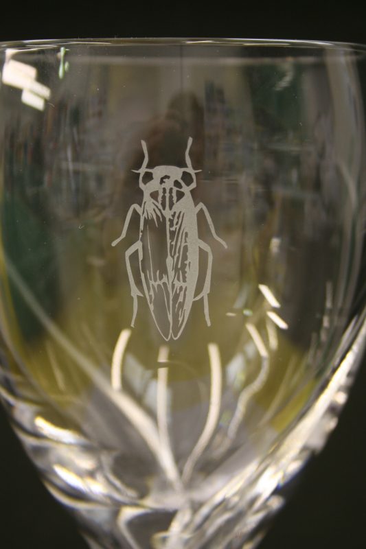 glass etching engraving Oxford London Witney