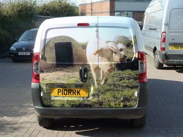 rear wrap vehicle graphics Oxford